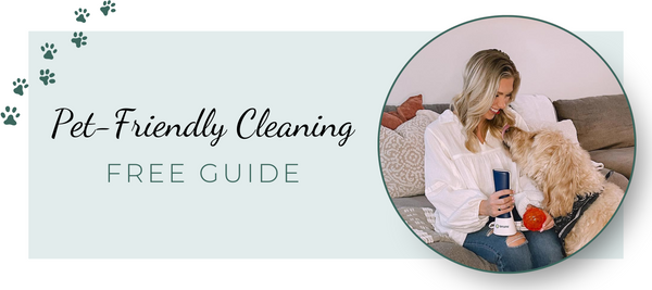 Pet-Friendly Cleaning with the iClean mini